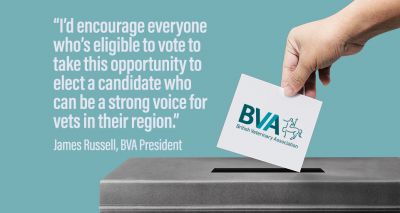 Voting now open for BVA regional representatives